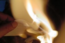 Minha contribuição para uma mudança na atual administração pública de Iporá: magia institucional, bioética e o futuro de Iporá